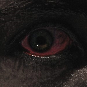 Voreus - Proclamation i gruppen ÖVRIGT / Övrigt / aub hos Bengans Skivbutik AB (3919423)