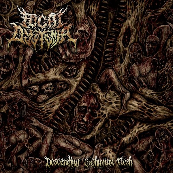 Focal Dystonia - Descending (In)Human Flesh i gruppen CD / Hårdrock/ Heavy metal hos Bengans Skivbutik AB (3919505)