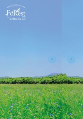 Seo Eun Kwang - Foresrt: Entrance (Sliver Version) i gruppen Minishops / K-Pop Minishops / K-Pop Övriga hos Bengans Skivbutik AB (3921990)