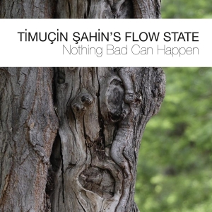 Timucin Sahin's Flow Stat - Nothing Bad Can Happen i gruppen CD / Jazz hos Bengans Skivbutik AB (3922394)