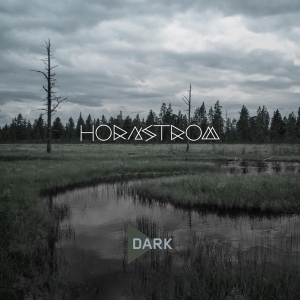 Hornstrom - Dark i gruppen CD / Jazz hos Bengans Skivbutik AB (3922395)