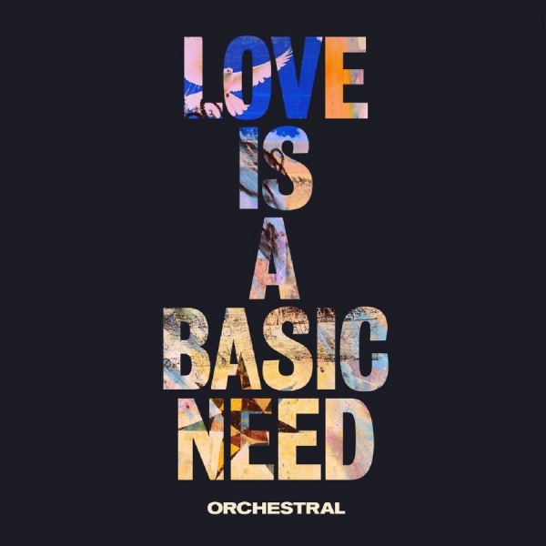 Embrace - Love Is A Basic Need (Orchestral) i gruppen VINYL / Toppsäljare hos Bengans Skivbutik AB (3923494)