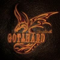Gotthard - Firebirth i gruppen CD / Pop-Rock hos Bengans Skivbutik AB (3924668)