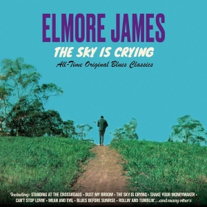 James Elmore - Sky Is Crying i gruppen CD / Blues,Jazz hos Bengans Skivbutik AB (3925080)