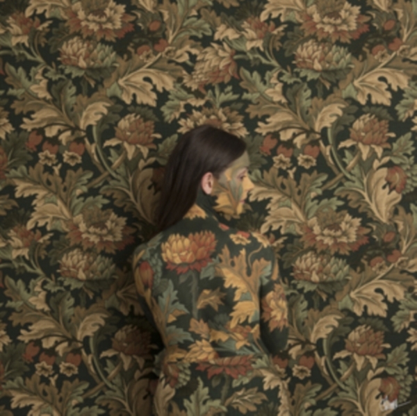 Honeyblood - In Plain Sight -Digi- i gruppen ÖVRIGT / Övrigt / aub hos Bengans Skivbutik AB (3925334)