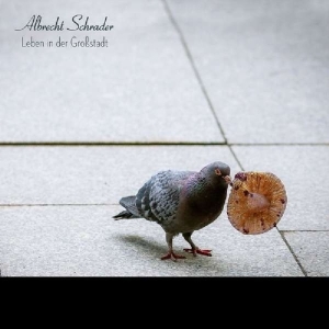 Albrecht Schrader - Leben In Der Grossstadt i gruppen VINYL / Pop-Rock,Övrigt hos Bengans Skivbutik AB (3925815)