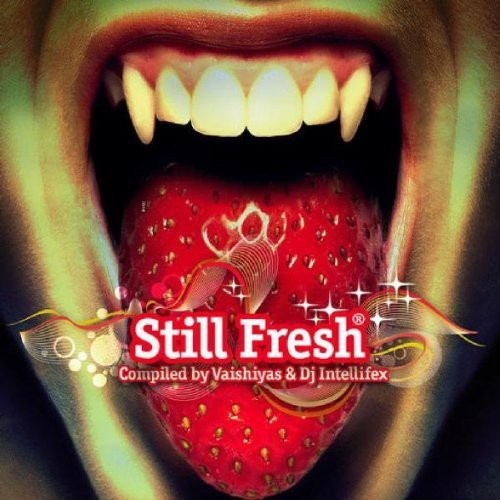 V/A - Still Fresh i gruppen CD / Dans/Techno hos Bengans Skivbutik AB (3927112)