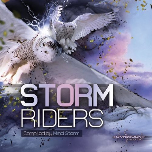 V/A - Storm Riders i gruppen CD / Dans/Techno hos Bengans Skivbutik AB (3927165)