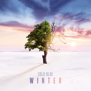 Cold Blue - Winter i gruppen CD /  hos Bengans Skivbutik AB (3927736)