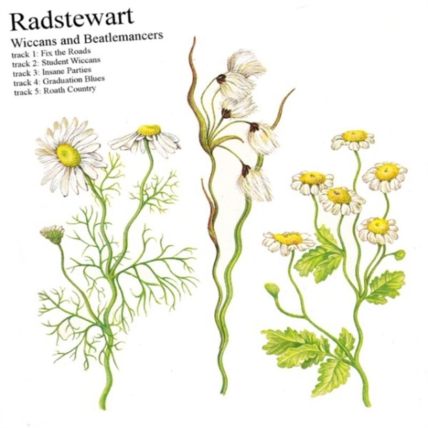 Radstewart - Wiccans & Beatlemancers.. i gruppen CD / Toppsäljare hos Bengans Skivbutik AB (3927892)