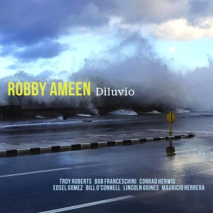 Ameen Robby - Diluvio i gruppen CD / Jazz hos Bengans Skivbutik AB (3928524)