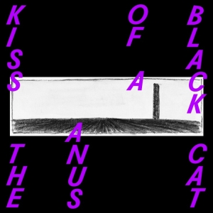 Kiss The Anus Of A Black - If The Sky Falls, We Shall Catch Larks i gruppen VINYL / Pop-Rock,Övrigt hos Bengans Skivbutik AB (3928906)