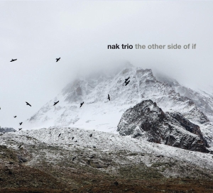 Trio Nak - Other Side Of If i gruppen CD / Jazz hos Bengans Skivbutik AB (3928949)