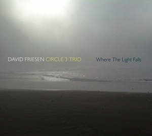 David -Circle 3 Trio- Friesen - Where The Lights Fall i gruppen CD / Jazz hos Bengans Skivbutik AB (3929638)