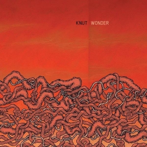 Knut - Wonder i gruppen CD / Pop-Rock hos Bengans Skivbutik AB (3929684)