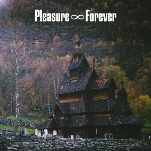 Pleasure Forever - Bodies Need Rest i gruppen VINYL / Pop-Rock hos Bengans Skivbutik AB (3929714)
