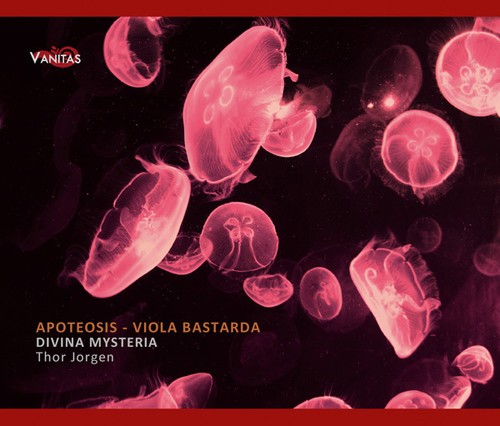 Divina Mysteria - Apoteosis i gruppen ÖVRIGT / Övrigt / aub hos Bengans Skivbutik AB (3929753)