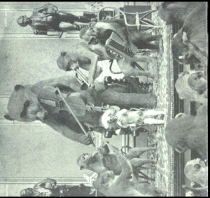 Sand Snowman - A Doll's Eyes i gruppen VINYL / Pop-Rock hos Bengans Skivbutik AB (3929789)