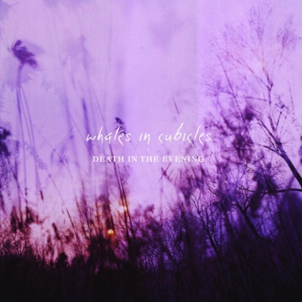 Whales In Cubicles - Death In The Evening i gruppen CD / Toppsäljare hos Bengans Skivbutik AB (3930329)