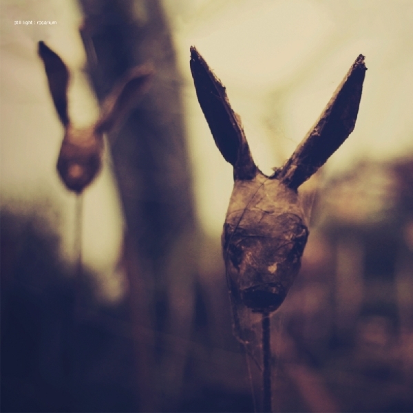 Still Light - Rosarium i gruppen CD / Toppsäljare hos Bengans Skivbutik AB (3931719)