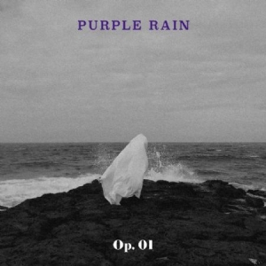 Purple Rain - Op. 01 i gruppen Minishops / K-Pop Minishops / K-Pop Övriga hos Bengans Skivbutik AB (3933083)