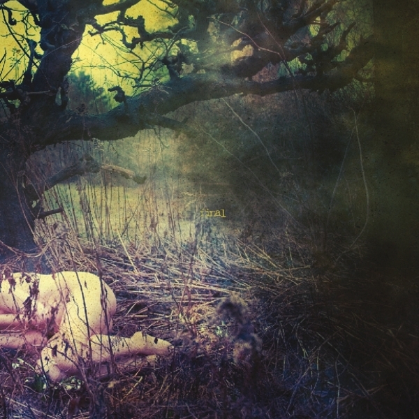 Final - Apple Never Falls Far From The Tree i gruppen VINYL / Toppsäljare hos Bengans Skivbutik AB (3933832)