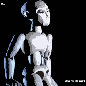 Kalli - While The City Sleeps i gruppen CD / Pop-Rock,Övrigt hos Bengans Skivbutik AB (3933979)