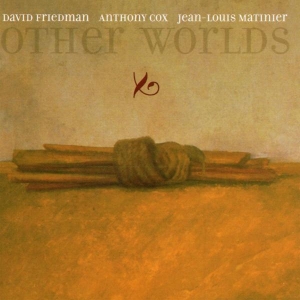 Friedman David - Other Worlds i gruppen CD / Jazz hos Bengans Skivbutik AB (3934119)