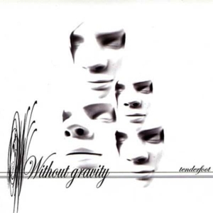 Without Gravity - Beautiful Son -2Tr- i gruppen VINYL / Pop-Rock,Övrigt hos Bengans Skivbutik AB (3934658)