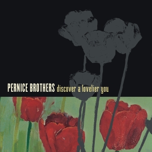 Pernice Brothers - Discover A Lovelier You i gruppen CD / Pop-Rock,Övrigt hos Bengans Skivbutik AB (3934897)