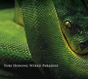Honing Yuri -Wired Paradise- - Temptation i gruppen CD / Jazz hos Bengans Skivbutik AB (3935340)