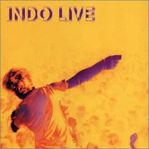 Indochine - Indo Live i gruppen CD / Fransk Musik,Pop-Rock hos Bengans Skivbutik AB (3935875)