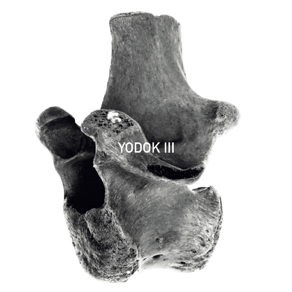 Yodok III - Yodok III i gruppen CD / Toppsäljare hos Bengans Skivbutik AB (3936723)