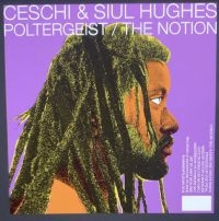 Ceschi And Siul Hughes - Poltergeist / The Notion i gruppen VINYL / Kommande / Hip Hop hos Bengans Skivbutik AB (3942316)