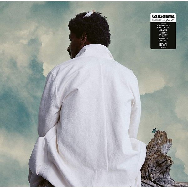 Labrinth - Imagination & The Misfit Kid i gruppen VINYL / Pop-Rock hos Bengans Skivbutik AB (3942683)