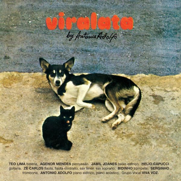 Antonio Adolfo - Viralata i gruppen VINYL / Worldmusic/ Folkmusik hos Bengans Skivbutik AB (3948882)