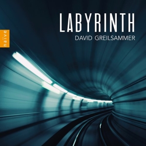 Various - Labyrinth i gruppen Externt_Lager / Naxoslager hos Bengans Skivbutik AB (3949074)