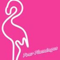 Four Flamingos - Mad Evil Woman i gruppen VINYL / Pop-Rock hos Bengans Skivbutik AB (3950462)