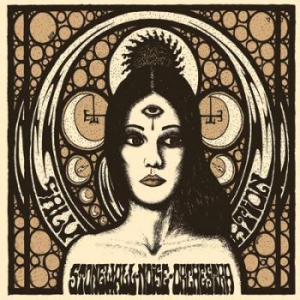 Stonewall Noise Orchestra - Salvation i gruppen CD / Hårdrock/ Heavy metal hos Bengans Skivbutik AB (3950846)