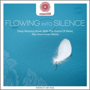 Buchert Jens - Entspanntsein - Flowing Into Silence (Deep Relaxing Music With The Sound Of Water, Rain And Ocean Wa i gruppen ÖVRIGT / Övrigt / aub hos Bengans Skivbutik AB (3950960)