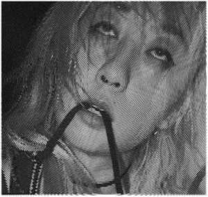 Evicshen - Hair Birth i gruppen VINYL / Pop-Rock hos Bengans Skivbutik AB (3951151)