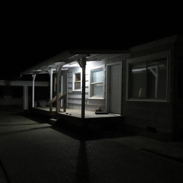 Jurado Damien - Birds Tricked Into The Trees (Coke Bottl i gruppen VINYL hos Bengans Skivbutik AB (3953076)