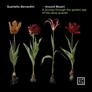 Various - Around Mozart - A Journey Through T i gruppen CD / Kommande / Klassiskt hos Bengans Skivbutik AB (3957432)