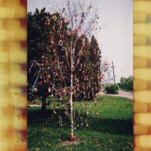 Kraus - A Golden Brain i gruppen VINYL / Rock hos Bengans Skivbutik AB (3962180)