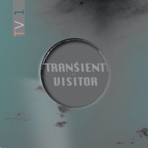 Transient Visitor - Tv1 i gruppen VINYL / Rock hos Bengans Skivbutik AB (3965462)
