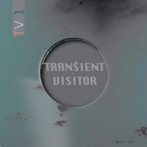 Transient Visitor - Tv1 i gruppen VINYL / Pop-Rock hos Bengans Skivbutik AB (3965462)