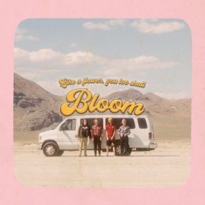 Carpool Tunnel - Bloom i gruppen CD / Rock hos Bengans Skivbutik AB (3965514)