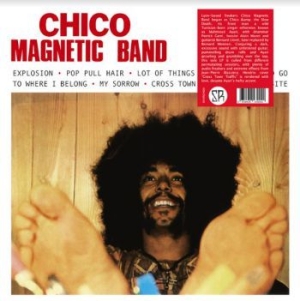 Chico Magnetic Band - Chico Magnetic Band i gruppen VINYL / Rock hos Bengans Skivbutik AB (3968008)