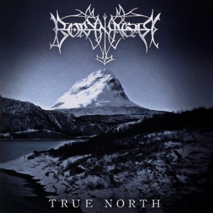 Borknagar - True North i gruppen ÖVRIGT / Övrigt / aub hos Bengans Skivbutik AB (3968360)