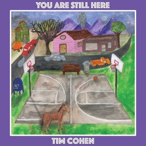 Tim Cohen - You Are Still Here (Vinyl Lp) i gruppen VINYL / Pop hos Bengans Skivbutik AB (3969443)